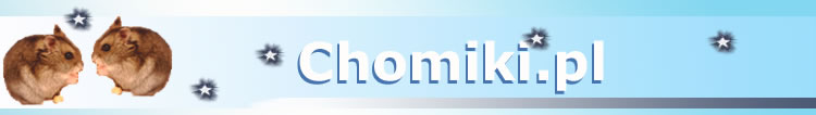 chomiki